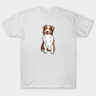 Australian Shepherd Dog T-Shirt